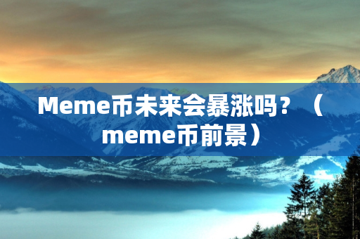 Meme币未来会暴涨吗？（meme币前景）