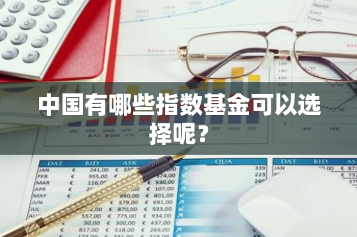 中国有哪些指数基金可以选择呢？