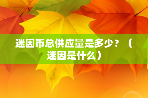 迷因币总供应量是多少？（迷因是什么）