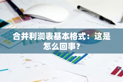 合并利润表基本格式：这是怎么回事？