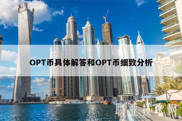 OPT币具体解答和OPT币细致分析