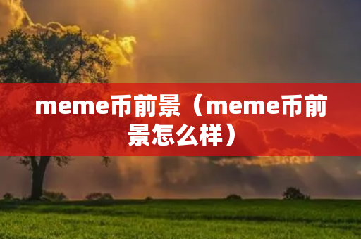 meme币前景（meme币前景怎么样）