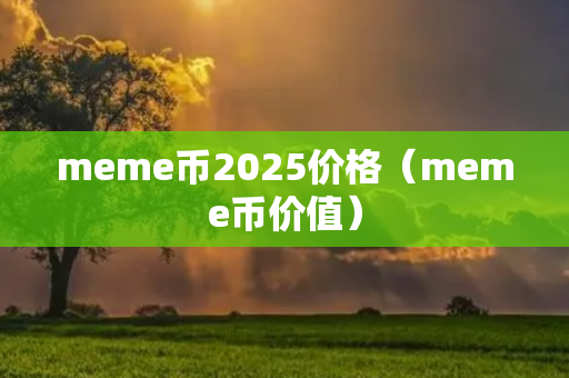 meme币2025价格（meme币价值）