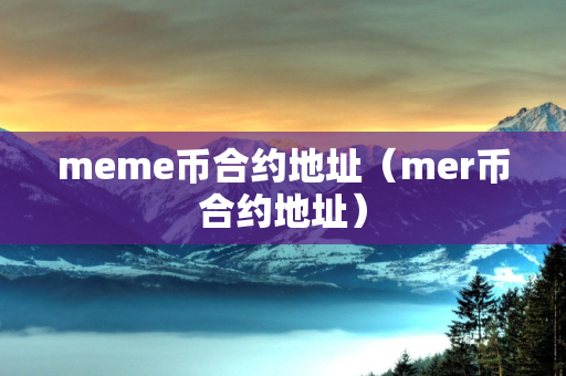 meme币合约地址（mer币合约地址）