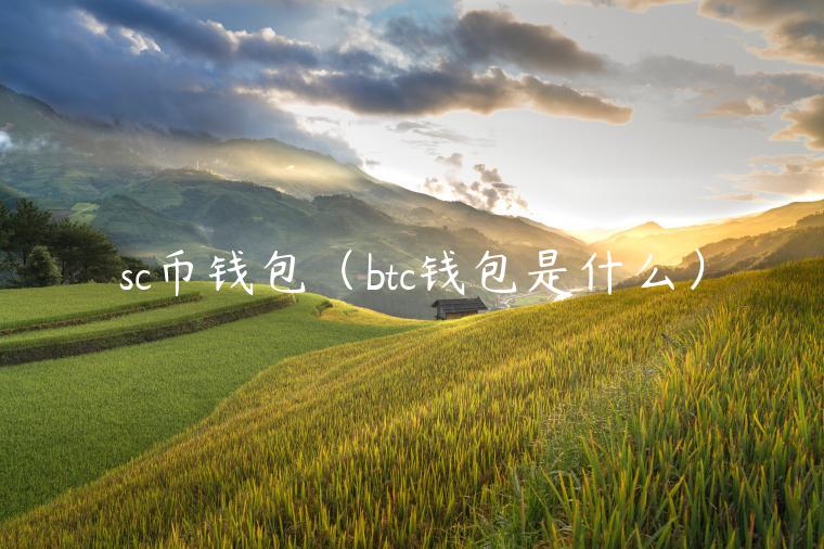 sc币钱包（btc钱包是什么）