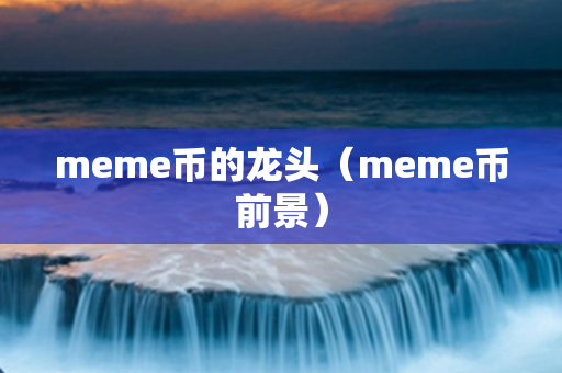 meme币的龙头（meme币前景）