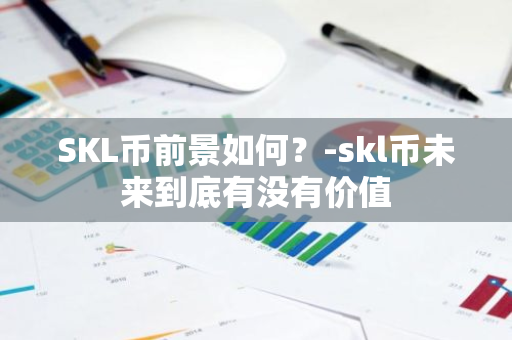 SKL币前景如何？-skl币未来到底有没有价值