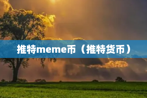 推特meme币（推特货币）