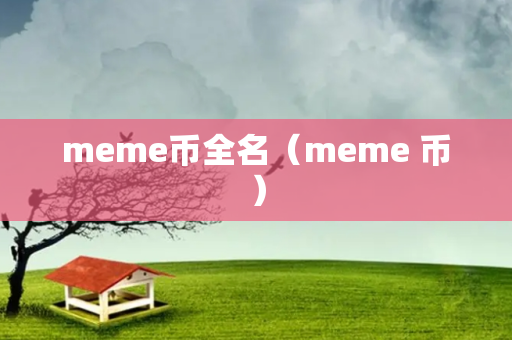 meme币全名（meme 币）