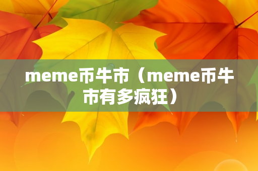 meme币牛市（meme币牛市有多疯狂）