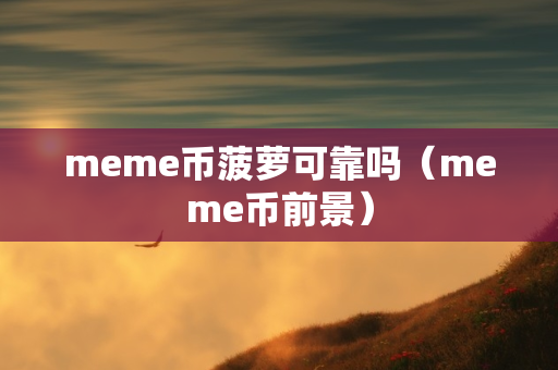 meme币菠萝可靠吗（meme币前景）