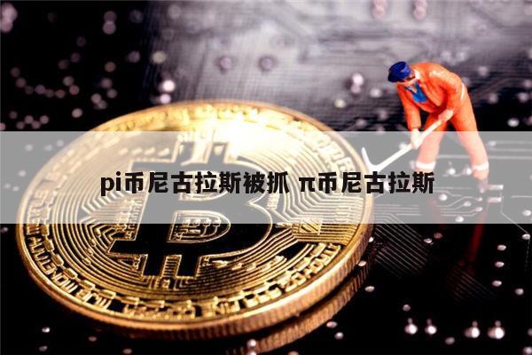 pi币尼古拉斯被抓了吗 pi币主网上线时间