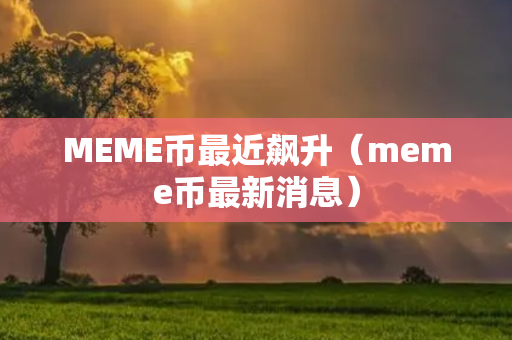 MEME币最近飙升（meme币最新消息）