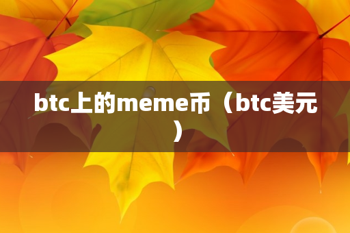 btc上的meme币（btc美元）