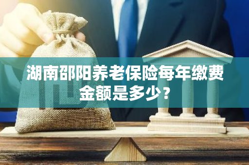 湖南邵阳养老保险每年缴费金额是多少？