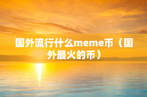 国外流行什么meme币（国外最火的币）