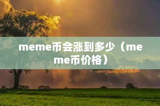 meme币会涨到多少（meme币价格）