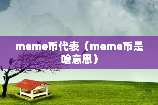 meme币代表（meme币是啥意思）