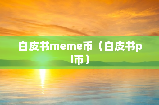 白皮书meme币（白皮书pi币）