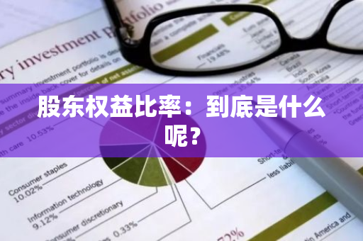 股东权益比率：到底是什么呢？