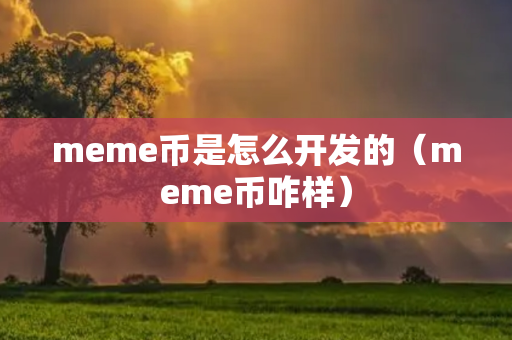 meme币是怎么开发的（meme币咋样）