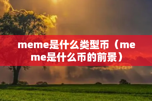 meme是什么类型币（meme是什么币的前景）