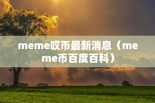 meme哎币最新消息（meme币百度百科）