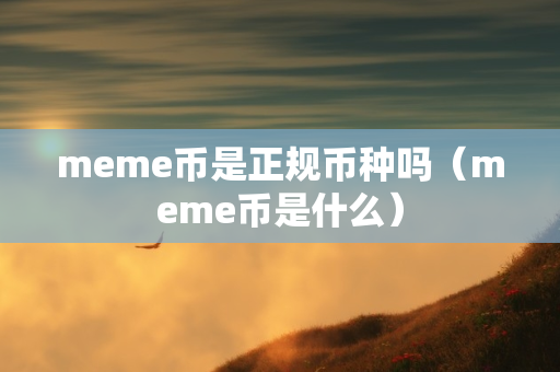 meme币是正规币种吗（meme币是什么）