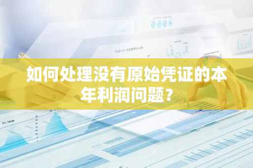 如何处理没有原始凭证的本年利润问题？