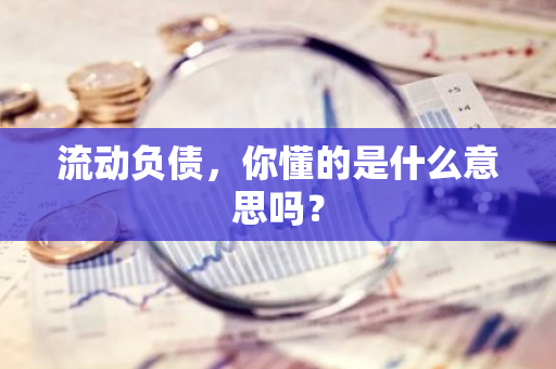 流动负债，你懂的是什么意思吗？