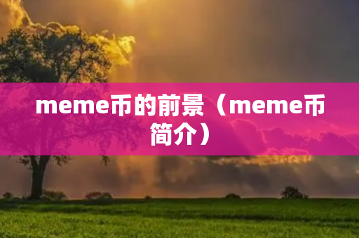 meme币的前景（meme币简介）