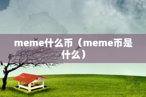 meme什么币（meme币是什么）