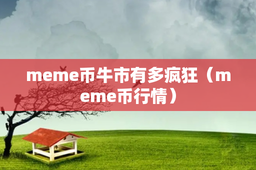 meme币牛市有多疯狂（meme币行情）