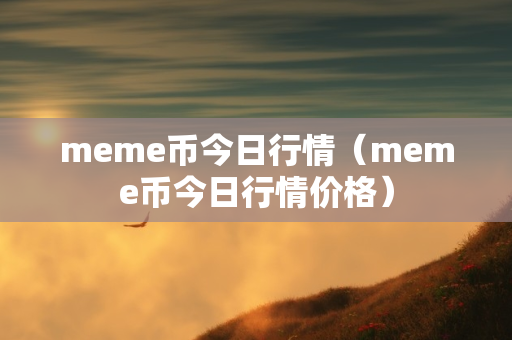 meme币今日行情（meme币今日行情价格）