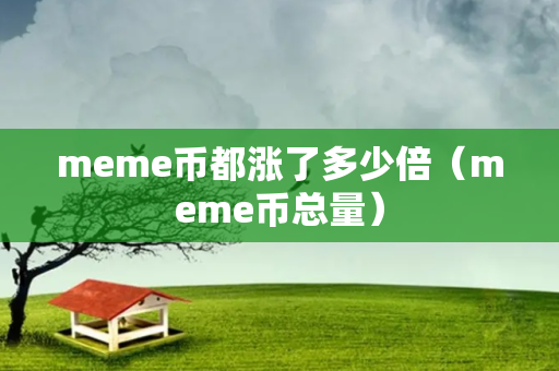 meme币都涨了多少倍（meme币总量）