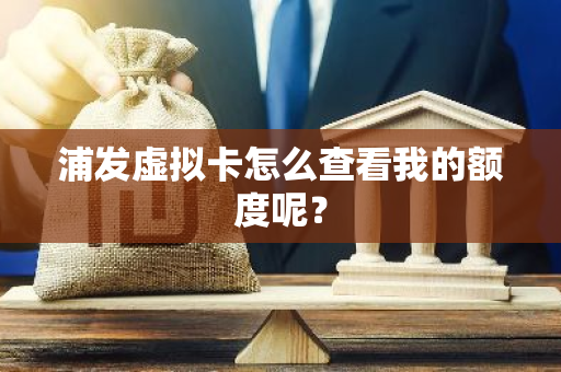 浦发虚拟卡怎么查看我的额度呢？