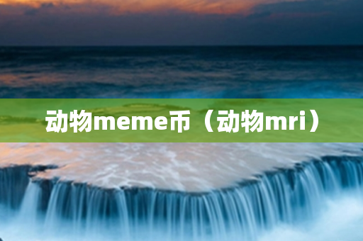 动物meme币（动物mri）