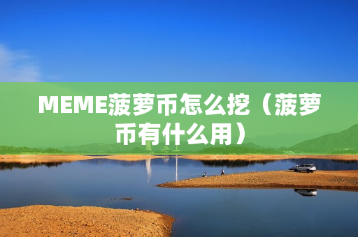 MEME菠萝币怎么挖（菠萝币有什么用）