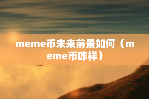 meme币未来前景如何（meme币咋样）