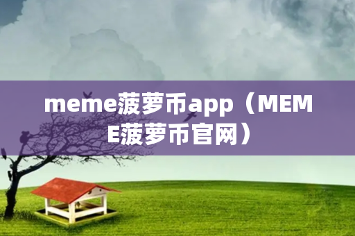 meme菠萝币app（MEME菠萝币官网）