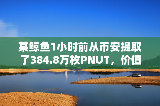 某鲸鱼1小时前从币安提取了384.8万枚PNUT，价值约712万美元