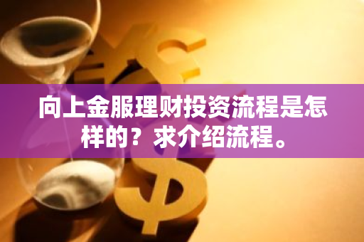 向上金服理财投资流程是怎样的？求介绍流程。