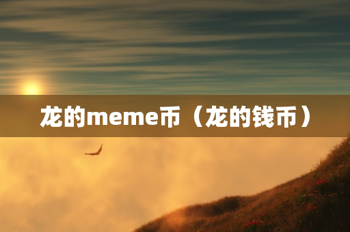 龙的meme币（龙的钱币）