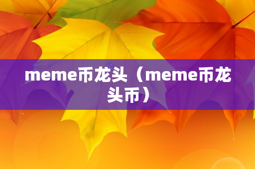 meme币龙头（meme币龙头币）