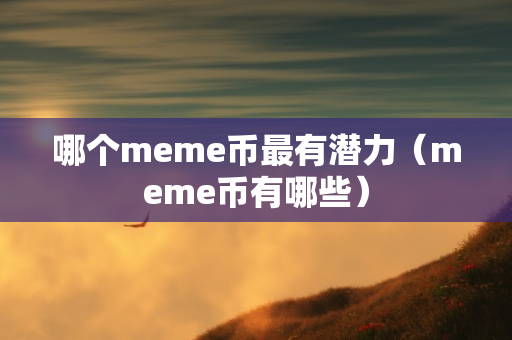 哪个meme币最有潜力（meme币有哪些）