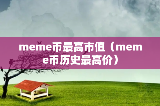 meme币最高市值（meme币历史最高价）