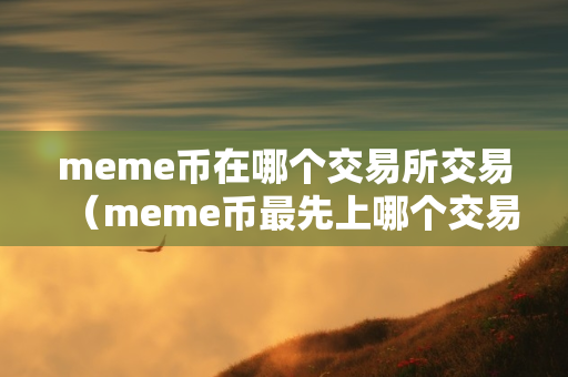 meme币在哪个交易所交易（meme币最先上哪个交易所）