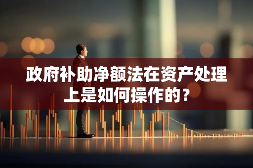 政府补助净额法在资产处理上是如何操作的？