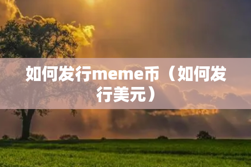 如何发行meme币（如何发行美元）