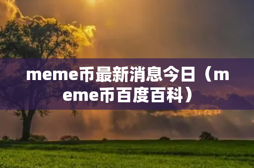 meme币最新消息今日（meme币百度百科）